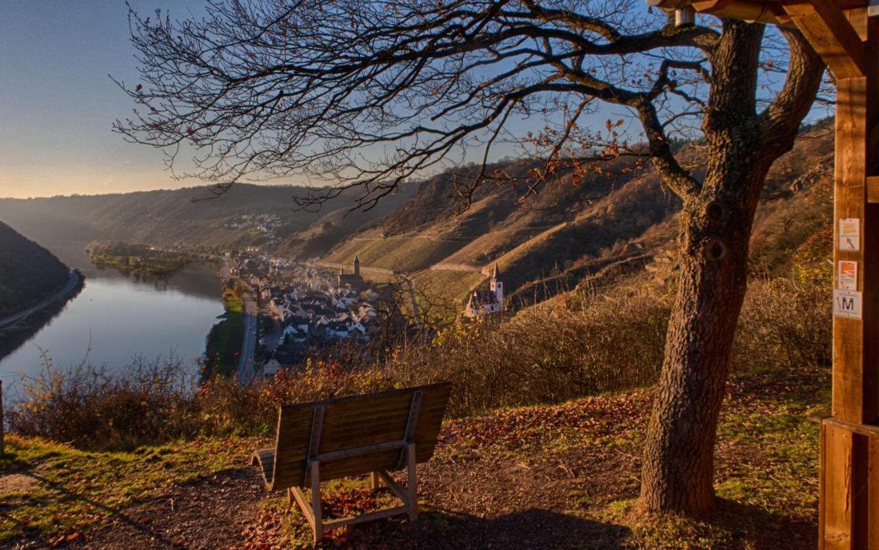 Ferienwohnungen Haus Am Wuerzlaysteig Lehmen ภายนอก รูปภาพ